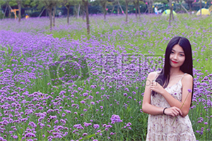 上海年轻人的初恋故事 上海年轻人的初恋故事